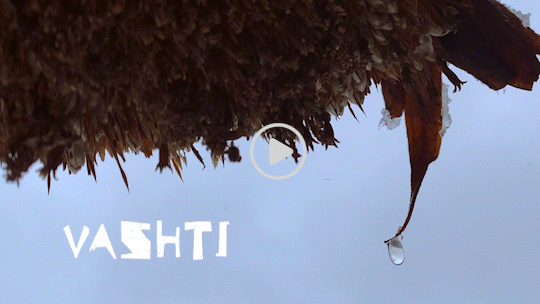 May 2022 Eddie_7.gif