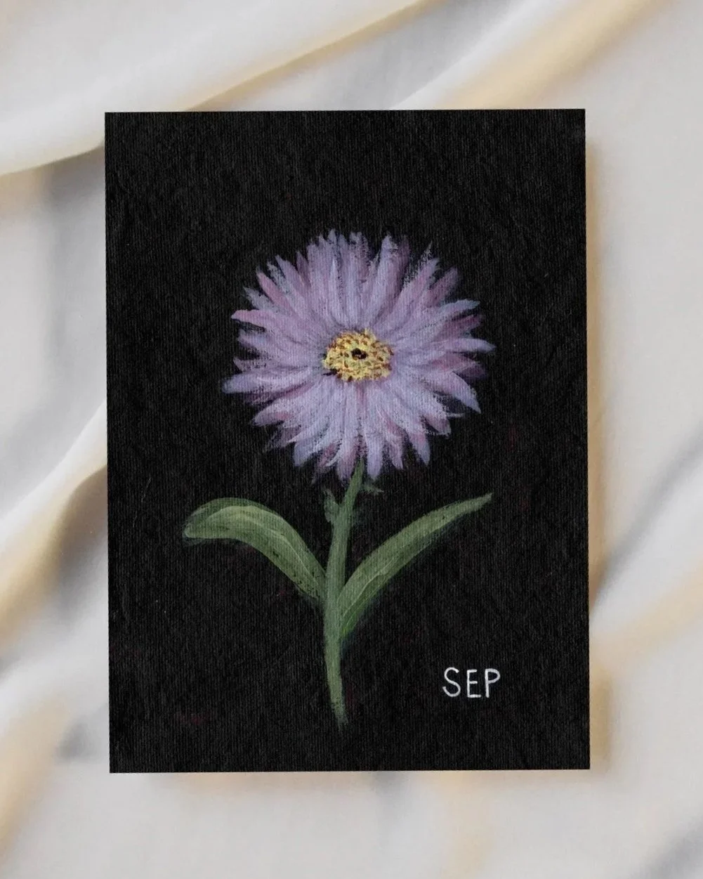 Fine Art Print - Sept Birth Flower