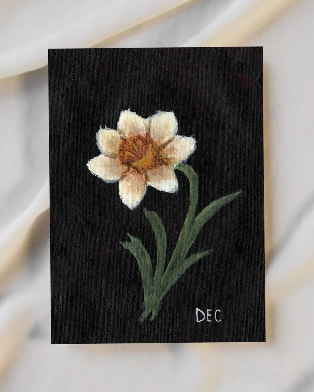 Fine Art Print - Dec Birth Flower