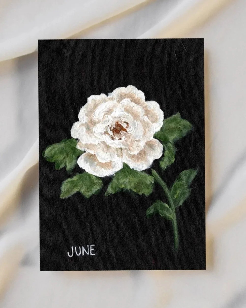 Fine Art Print - June Birth Flower