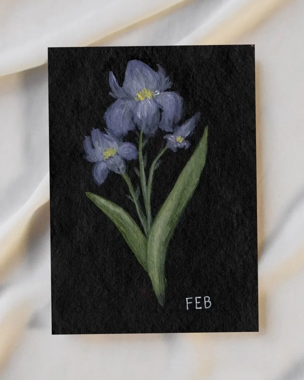 Fine Art Print - Feb Birth Flower
