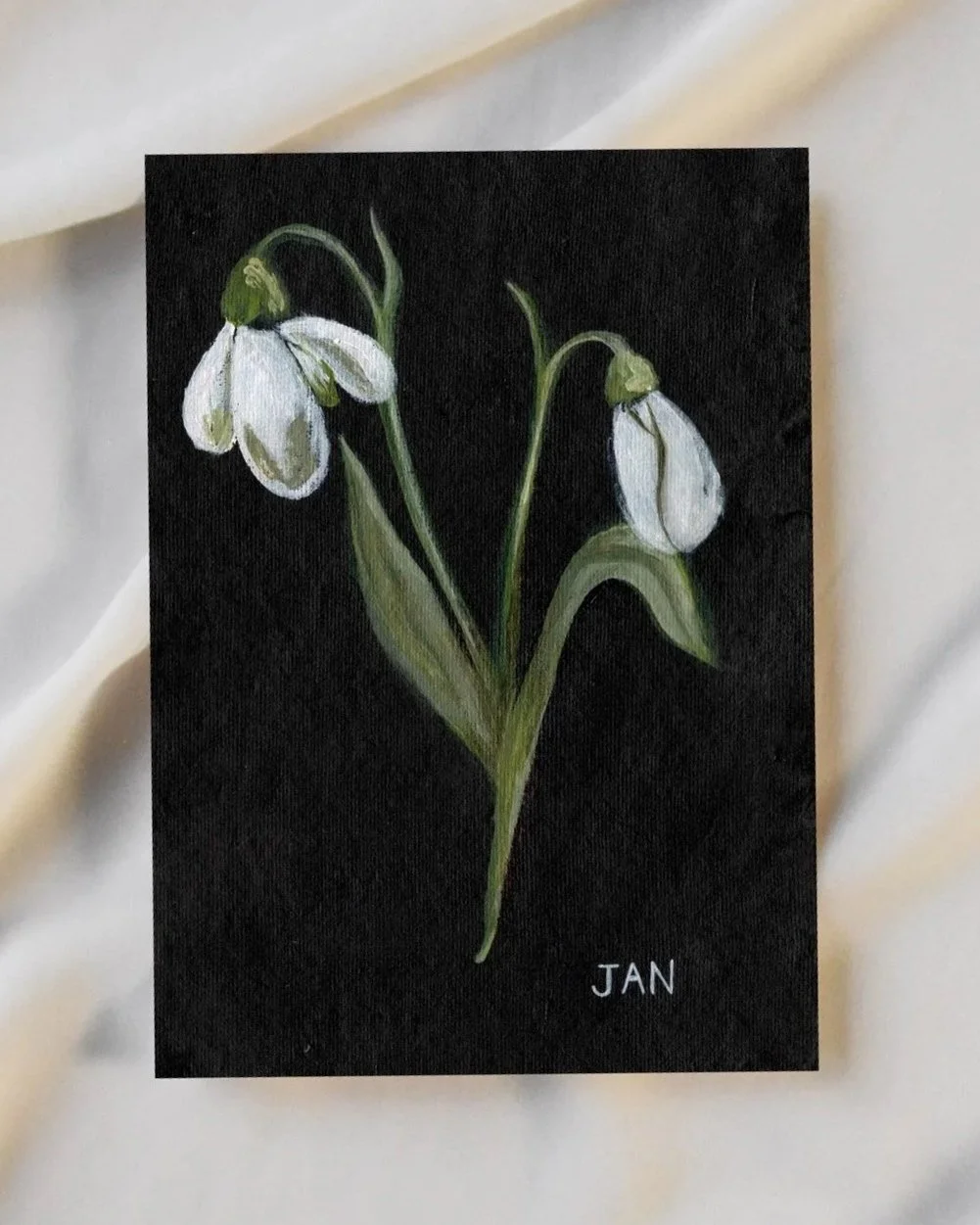 Fine Art Print - Jan Birth Flower