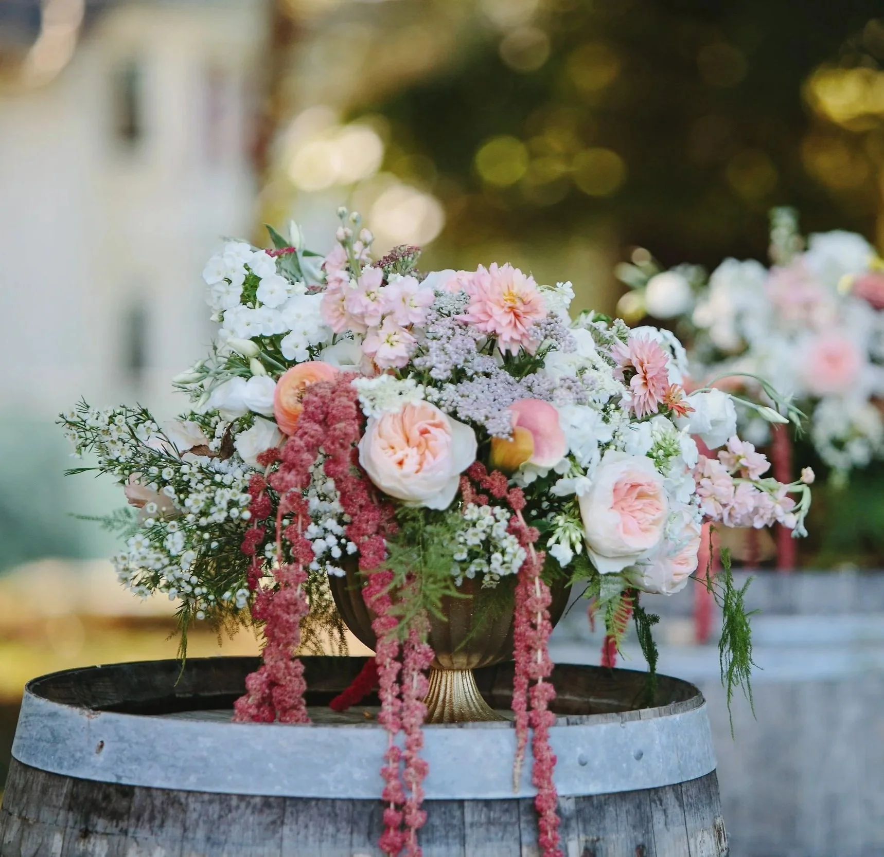 STUDIO-ATTIS-CATALOG-LINK-2026