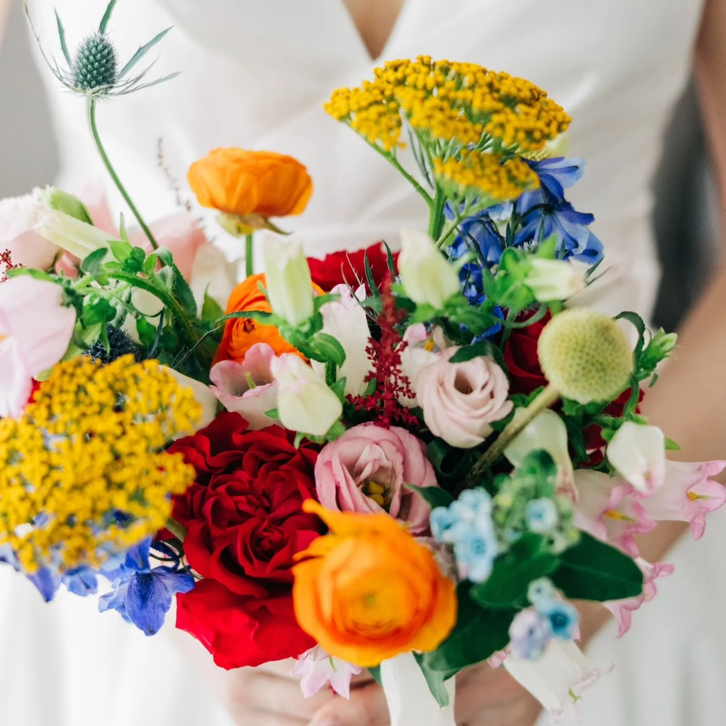 Georgia and Riley ✨️

This truly was a spectacular day. The weather turned around right as Georgia was ready to take her trip down the aisle. The ceremony @kismethouseco was something out of a painting. I'll think of this one for quite a while.

A bi