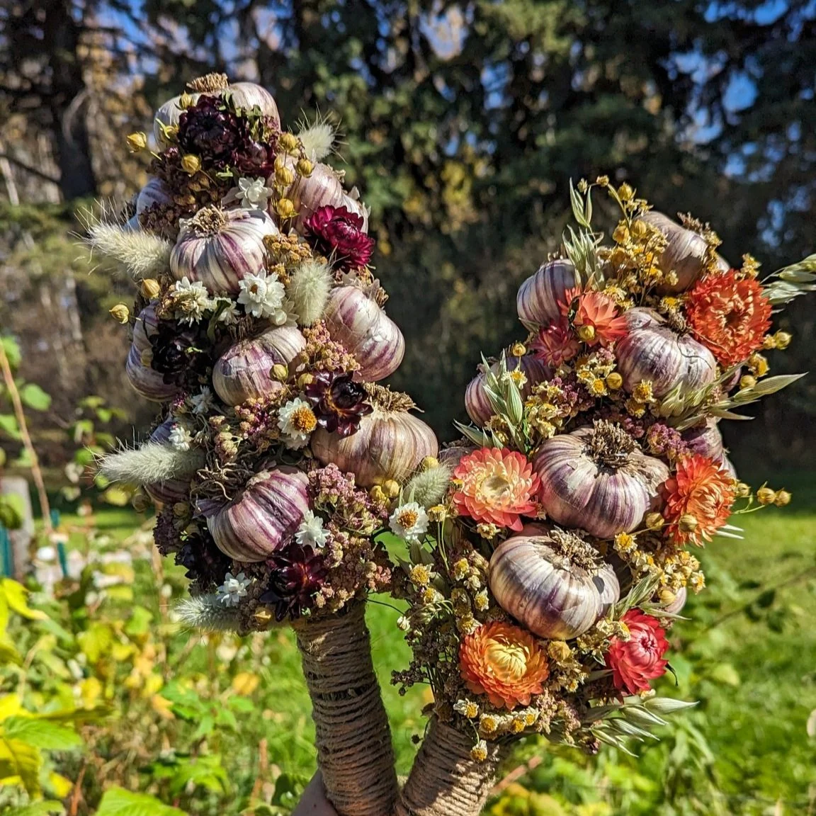 Shared from Lightroom mobile.jpg