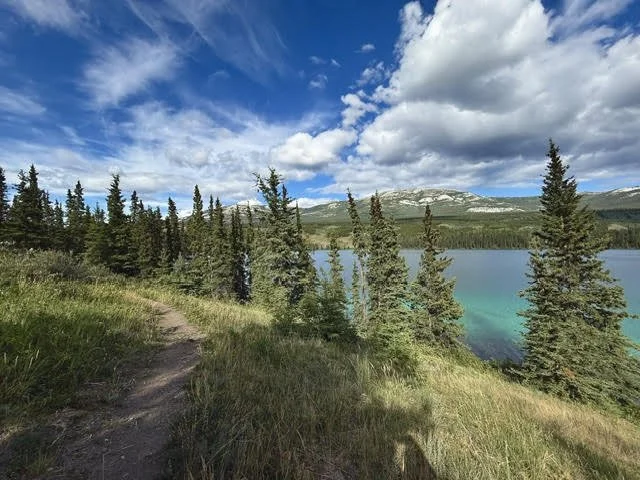 View on Grey mountain by Paula Gomez Villalba