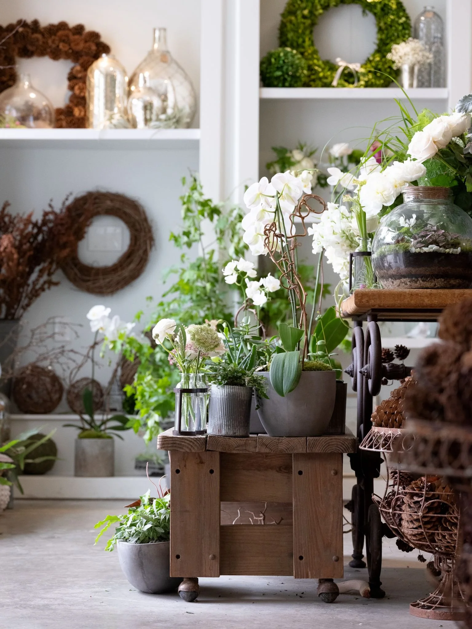 Indoor plant shop with potted green plants and white flowers displayed on wooden shelves. Decorative wreaths and glass jars in background.
