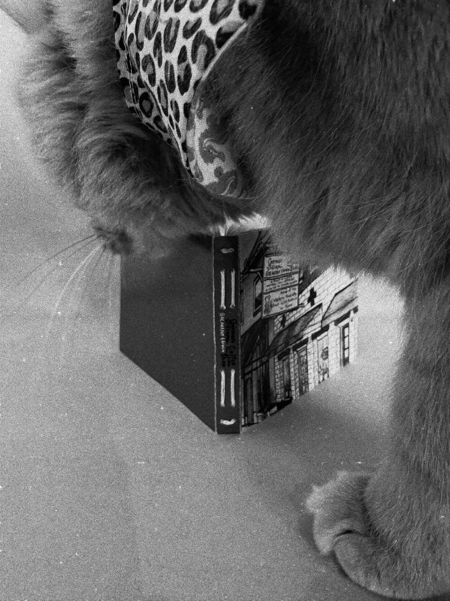 Coming soon&hellip; ✨