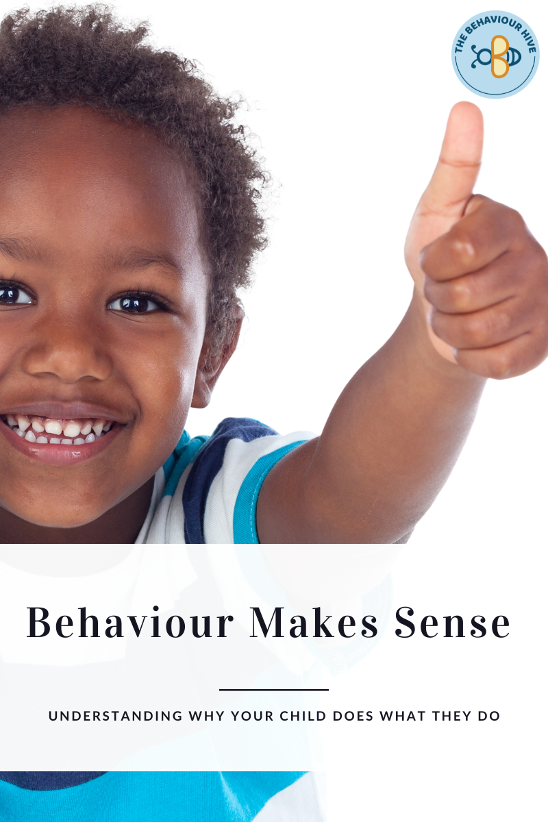 Behaviour Makes Sense