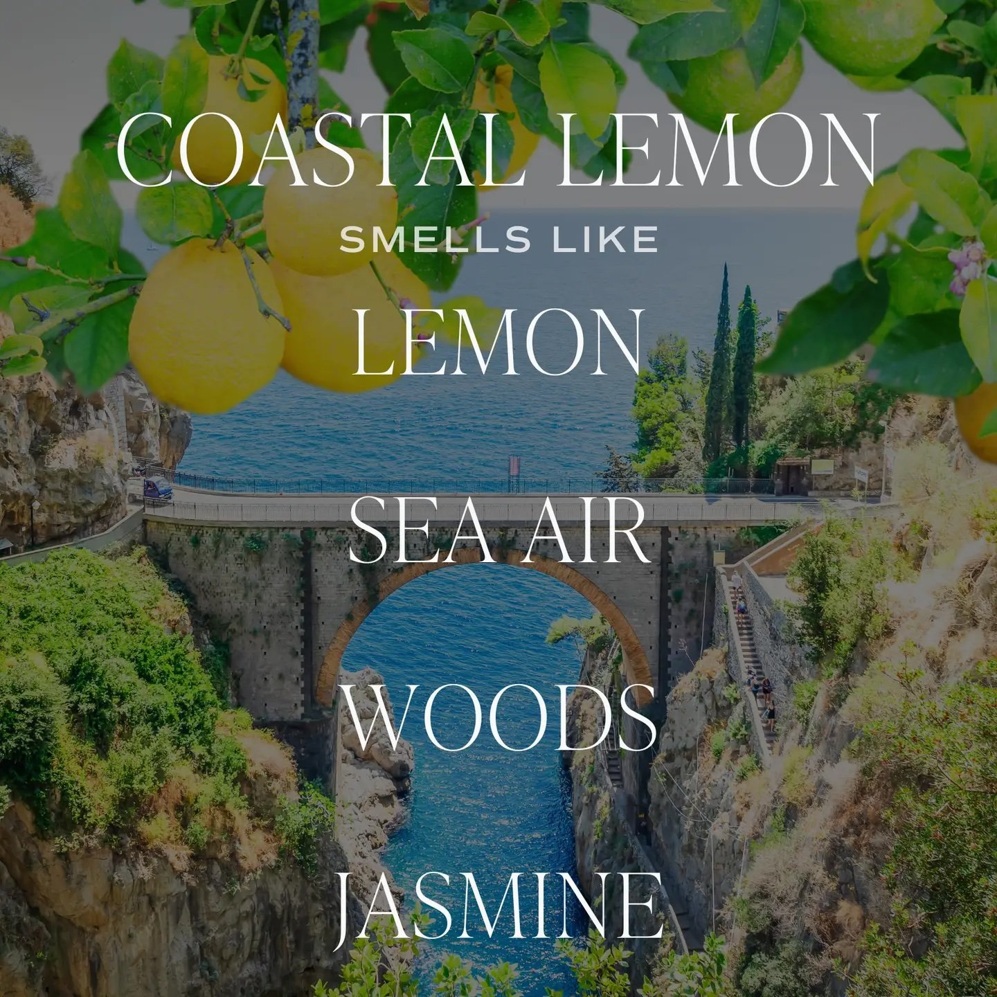 Coastal Lemon 12 oz Candle 4.jpeg