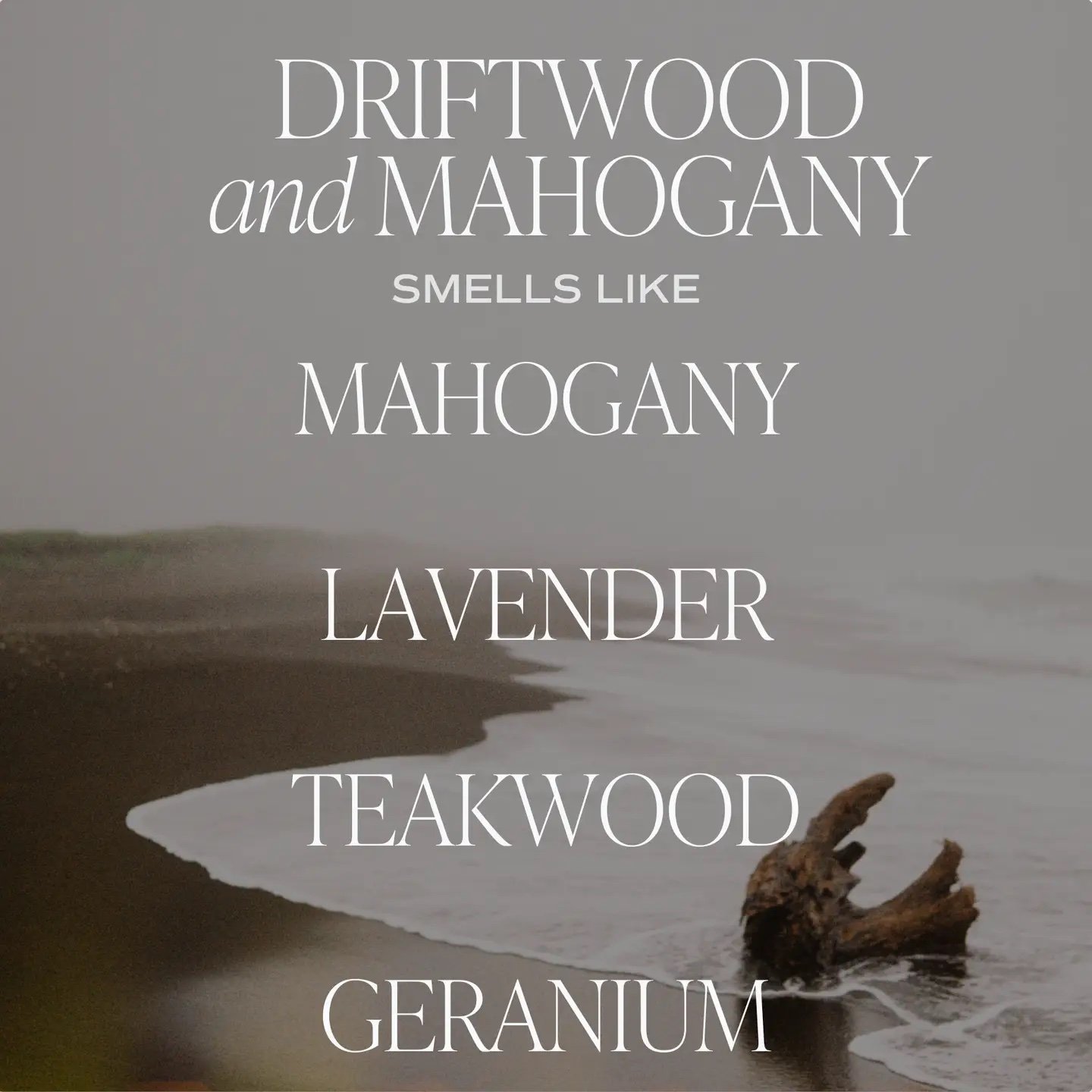 Driftwood and Mahogany 11 oz Soy Candle 3.jpeg