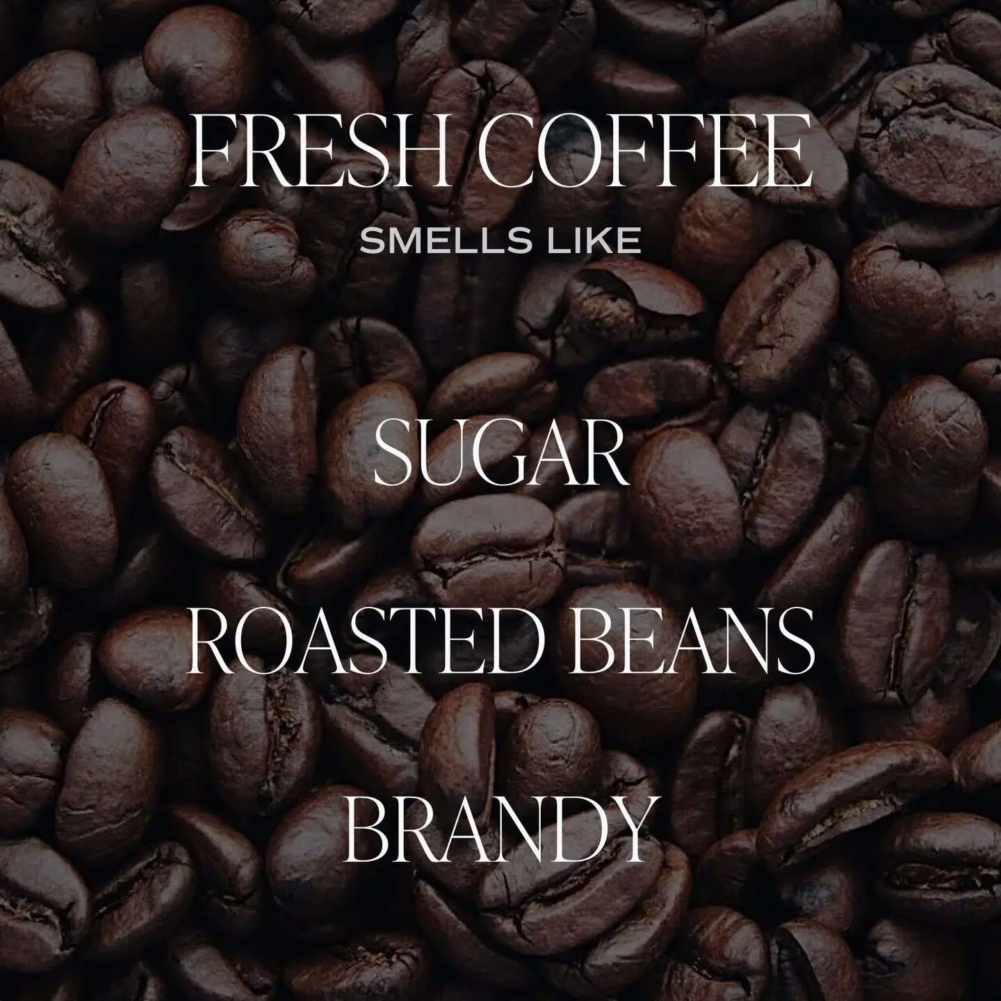 Fresh Coffee 11 oz Soy Candle 3.jpeg