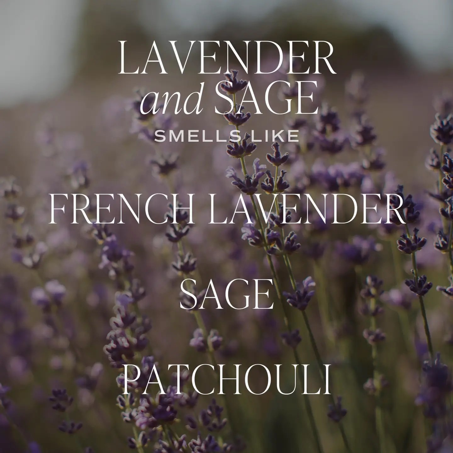 Lavender and Sage 12 oz Candle 3.jpeg