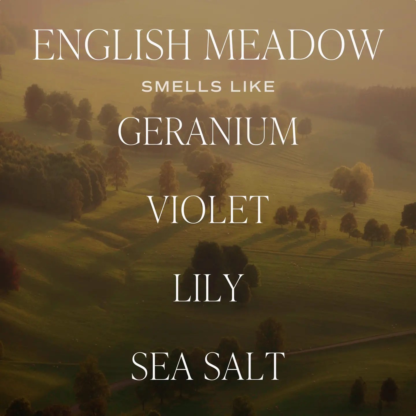 English Meadow 15 oz Soy Candle, Matte Jar 4.jpeg