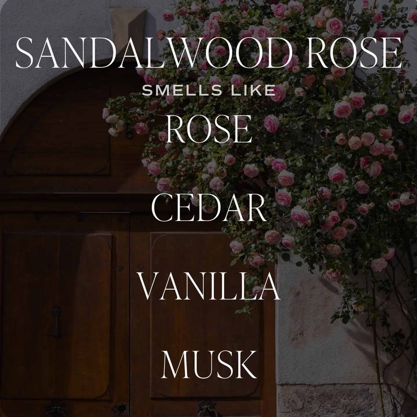 Sandalwood Rose 12 oz Candle 3.jpeg