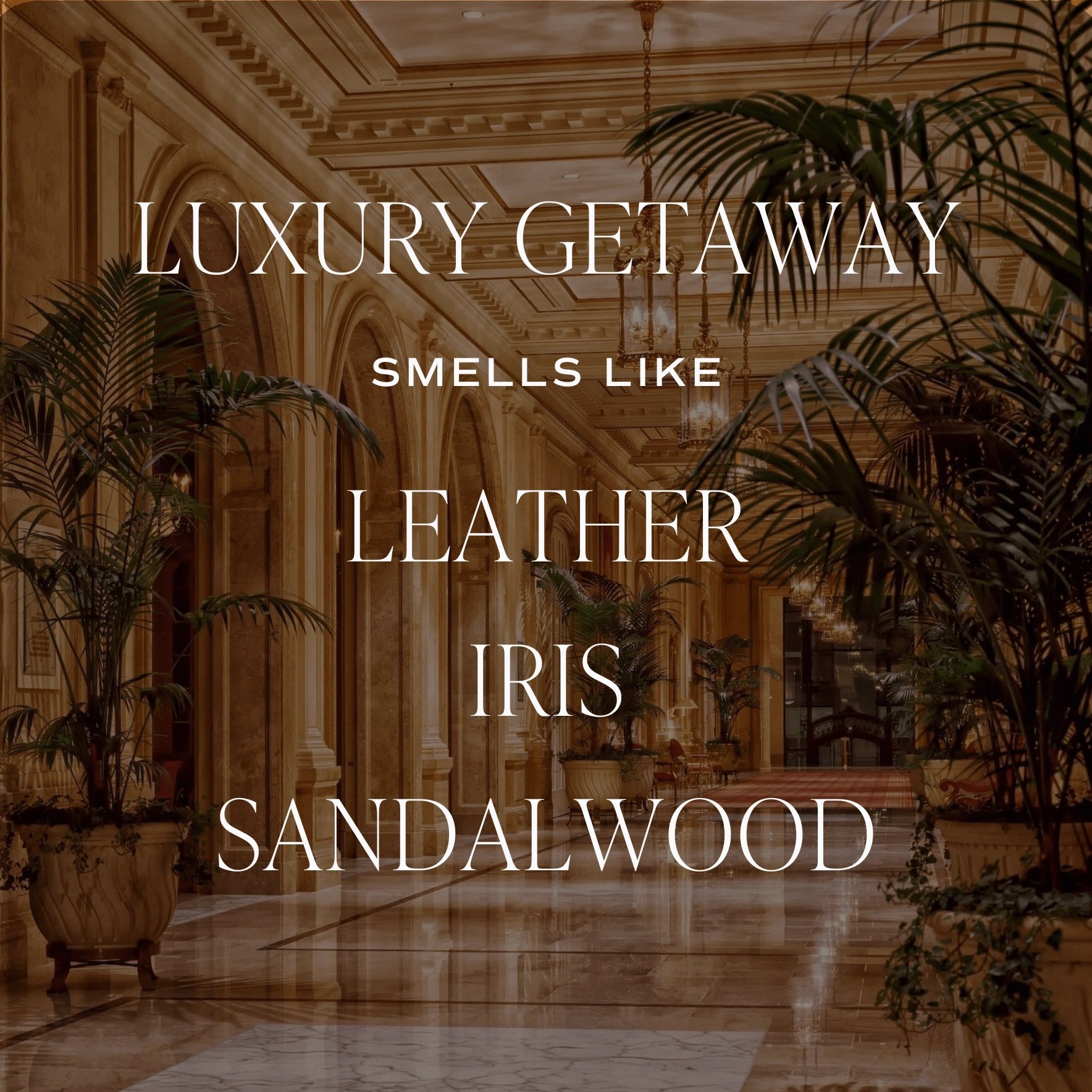 Luxury Getaway Reed Diffuser 3.jpeg
