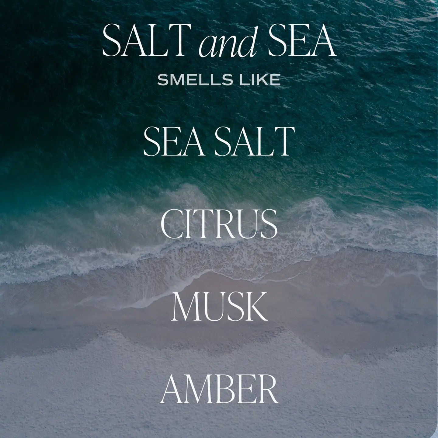 Salt and Sea 11 oz Soy Candle 3.jpeg
