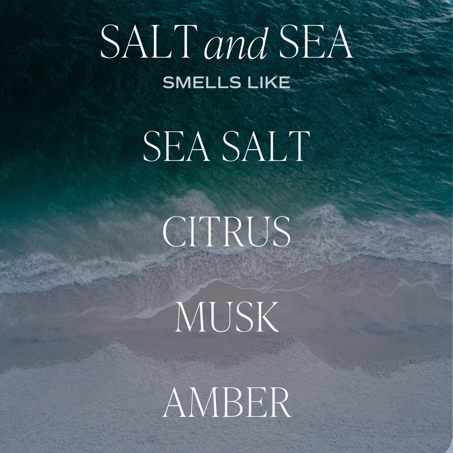 Salt and Sea Reed Diffuser 3.jpeg