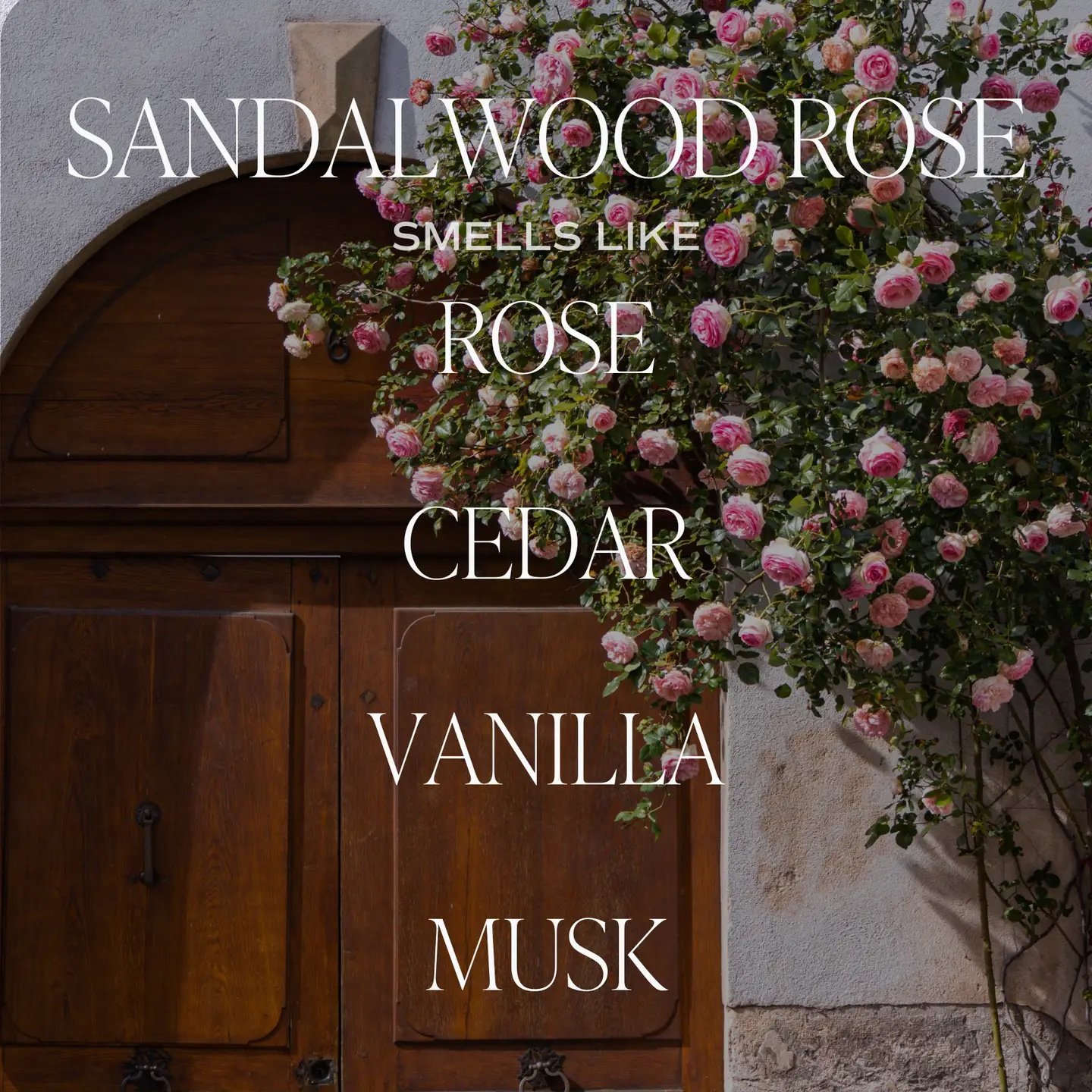 Sandalwood Rose 11 oz Soy Candle 3.jpeg