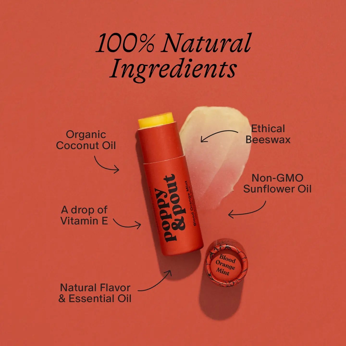 Lip Balm ALL.jpeg