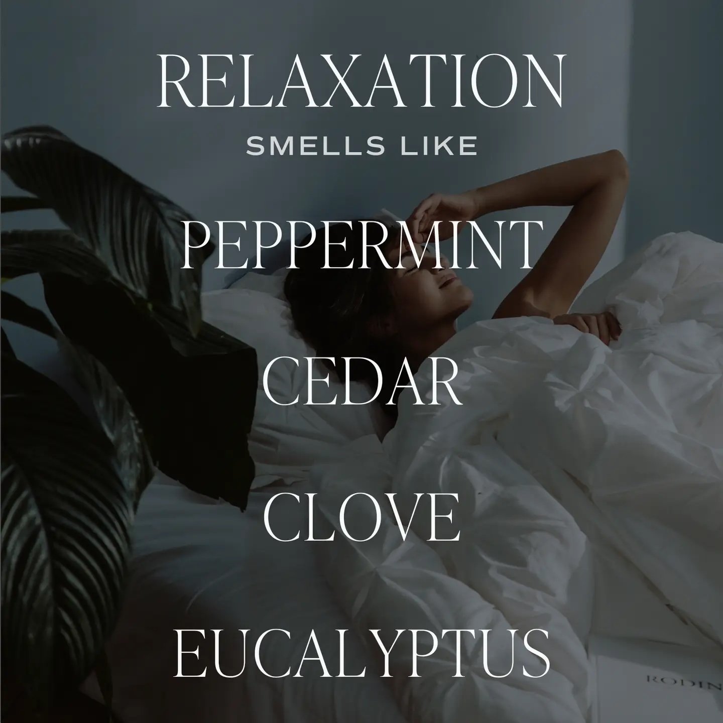Relaxation 12 oz Candle 3.jpeg