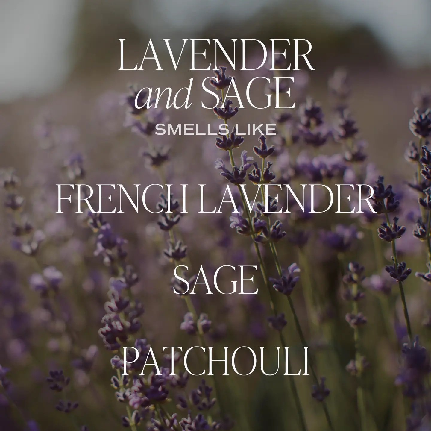 Lavender and Sage 11 oz Soy Candle 4.jpeg