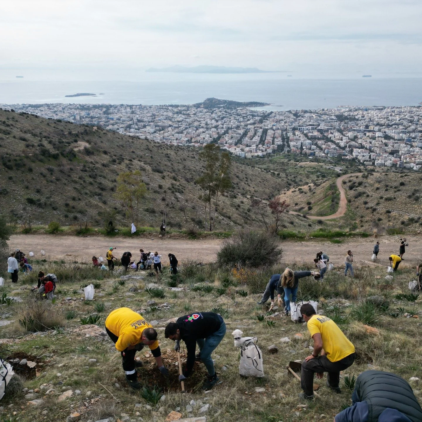 This past Sunday, we joined hands to bring life back to the slopes of Ymittos Mountain near Voula, Athens. 🌳🌞 Together, we planted trees that will not only restore the forest but also contribute to a healthier environment for future generations. Th