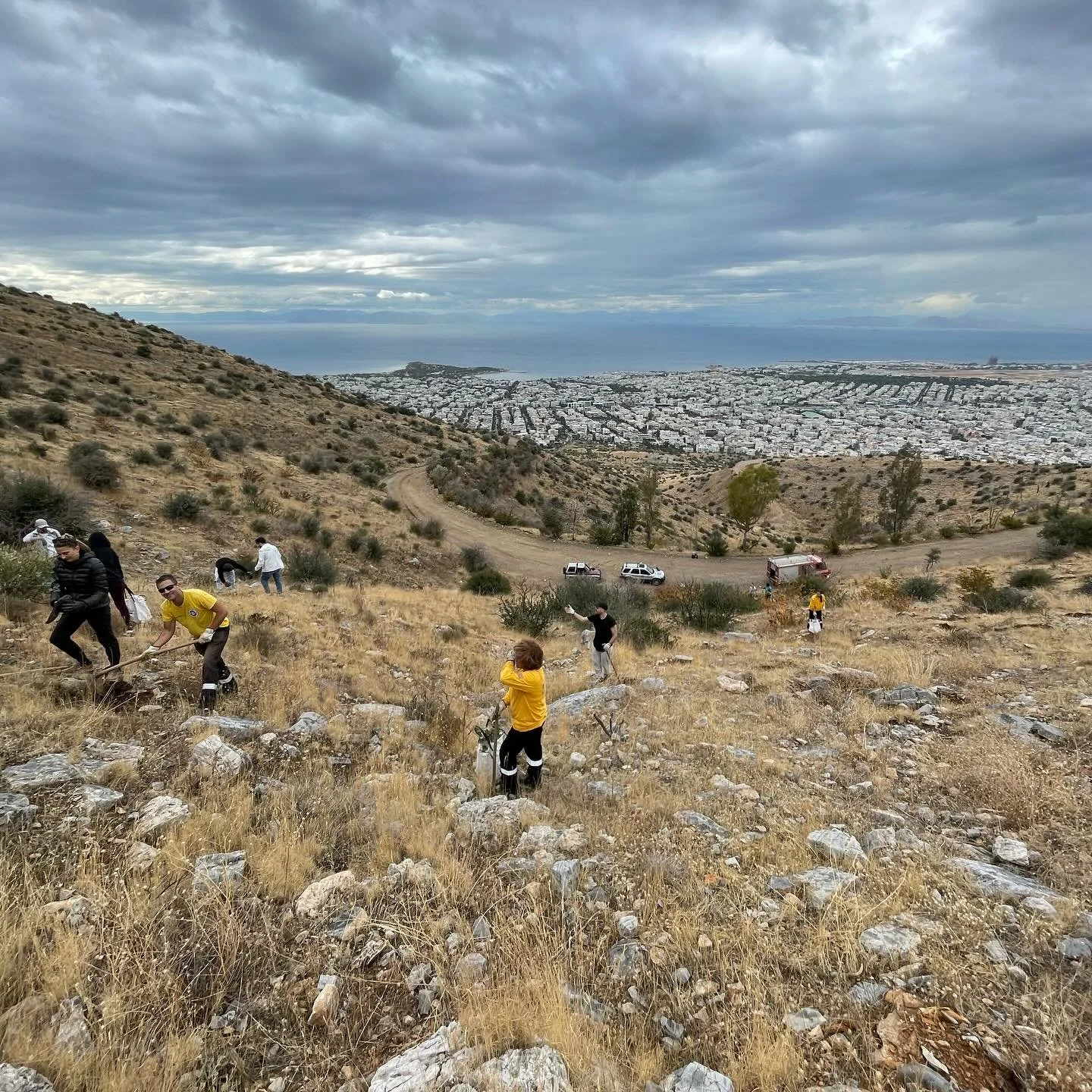 Forests are home to 80% of terrestrial species of plants, animals, and fungi, making them some of the most biodiverse ecosystems on Earth.
#nature
#environment
#forest
#reforestation
#trees
#sustainability
#ecology
#biodiversity
#climate
#restoration