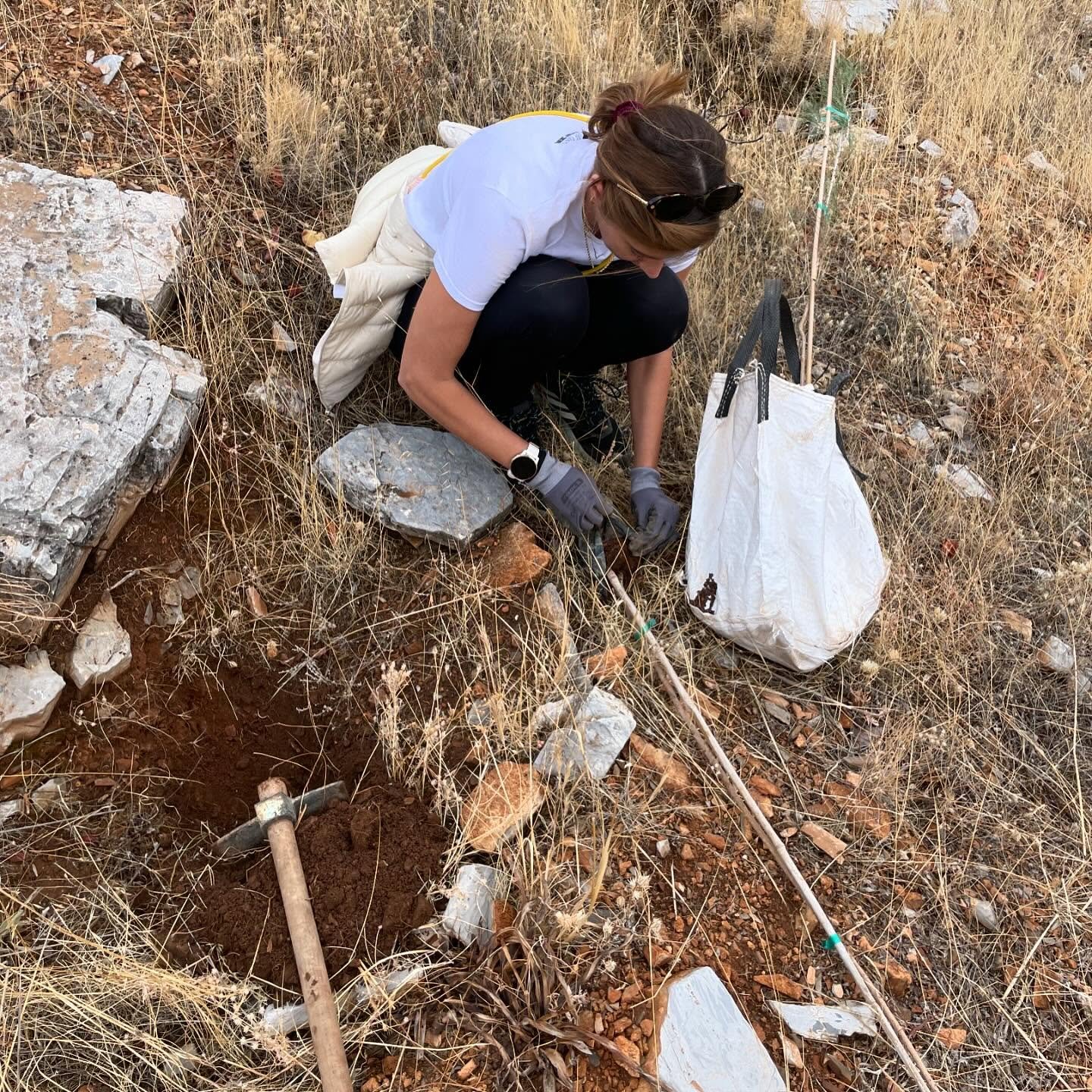 Ifigeneia and other #volunteers preparing the ground for a variety of slow-burning #vegetation #nature #forest #tree #plant #mountain #greece #reforestation