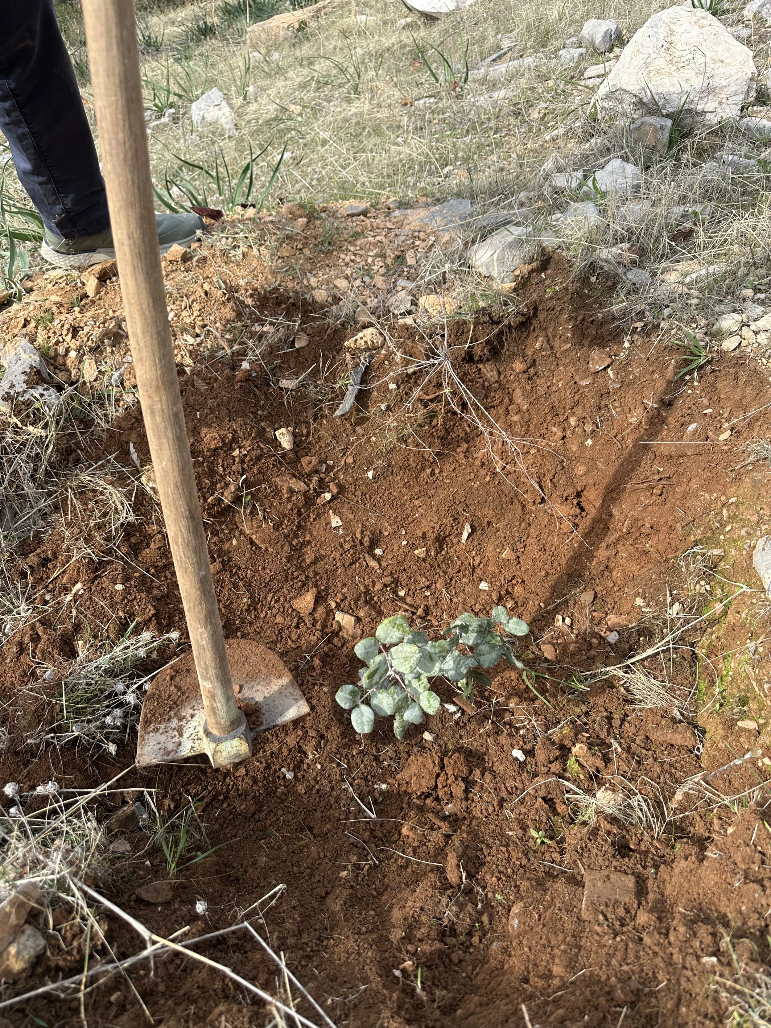 It’s the shortest month of the year already