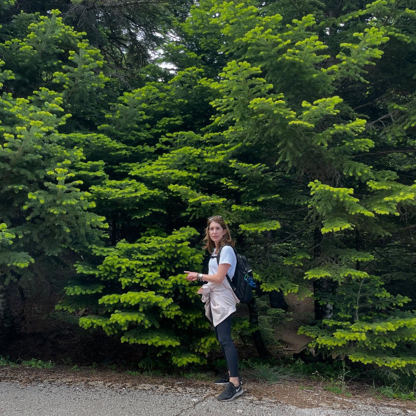 Get closer to the natural environment, explore the beauty right around the block. Athens is unique in terms of its proximity to such environmental diversity. Visit the mountains and the sea, understand the role they play, observe closely
#environment