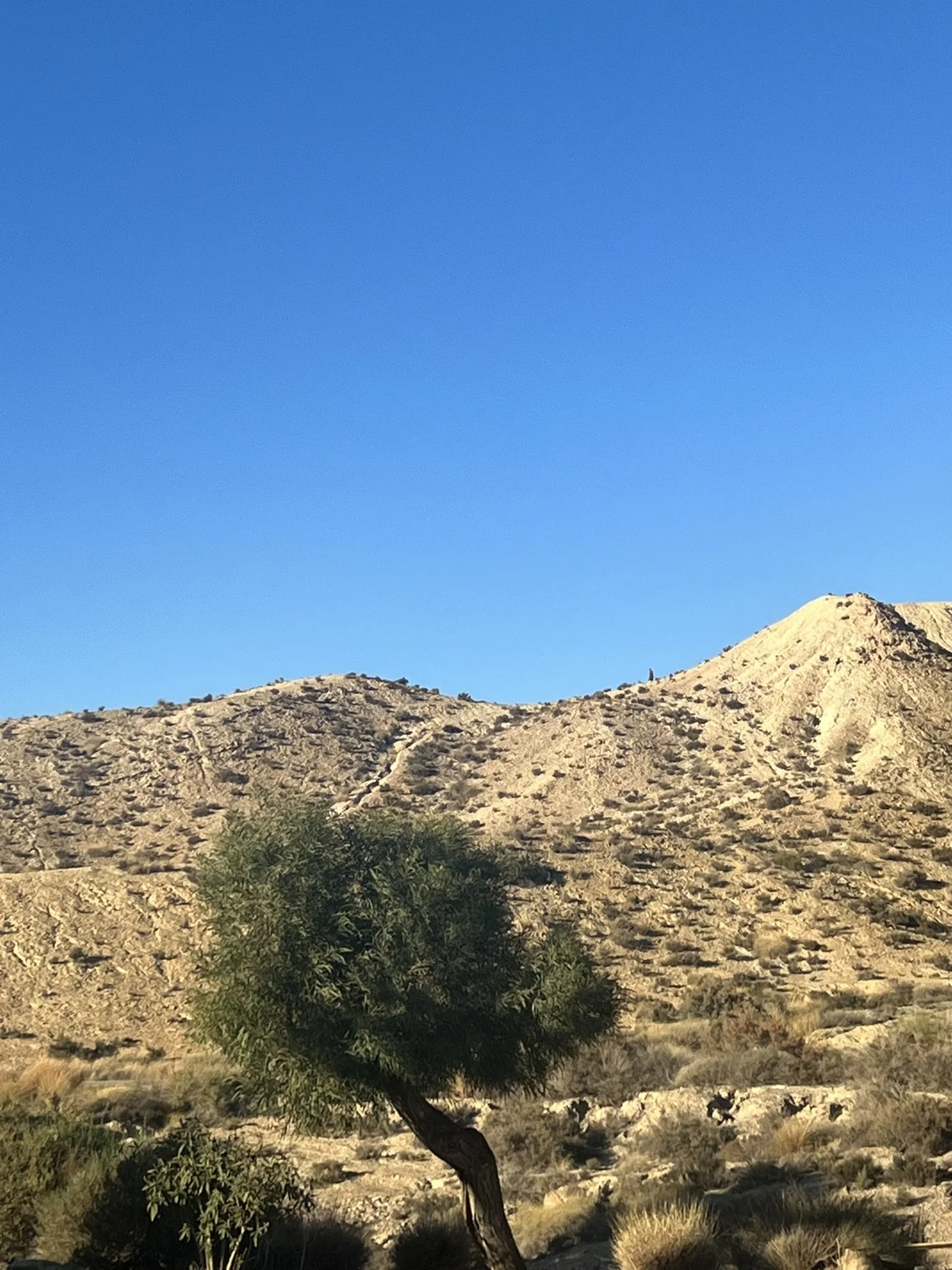 IMG_5946.JPEG