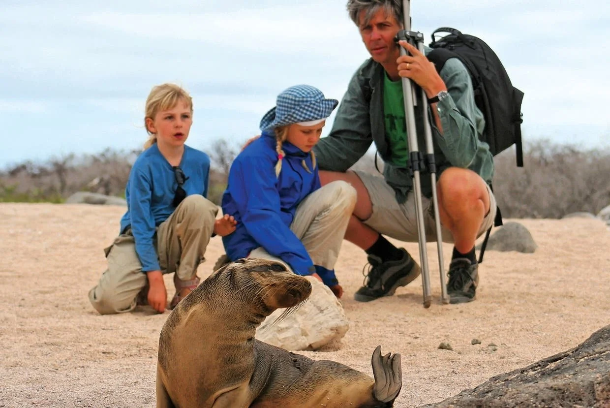 glfb-galapagos_fur-seal.jpg