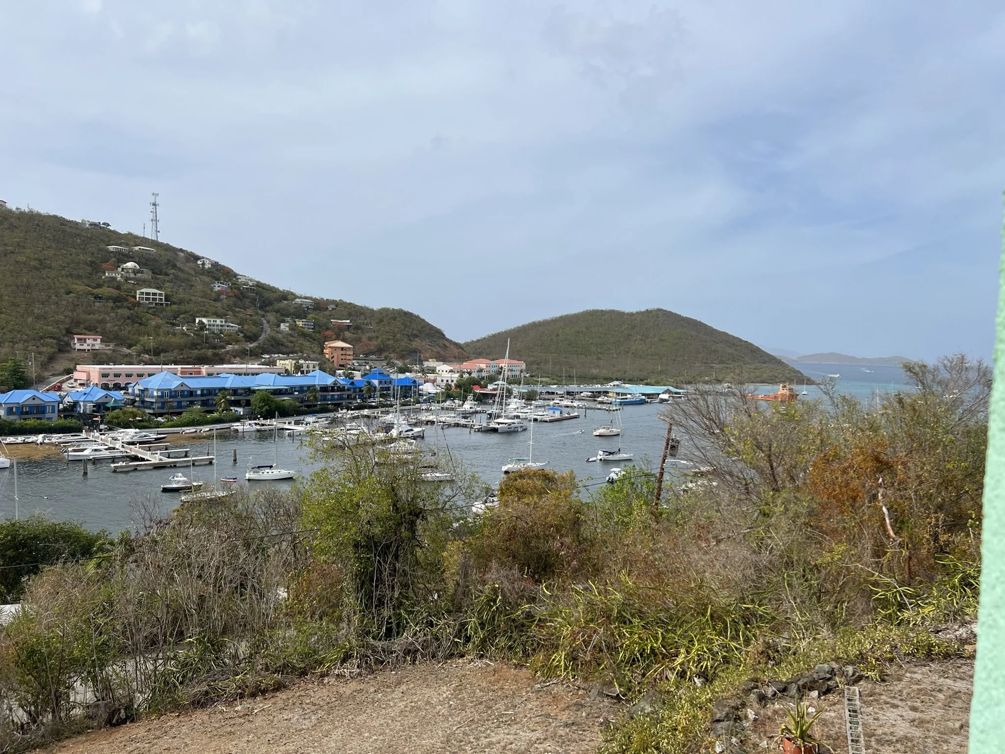 IMG_3159.JPEG