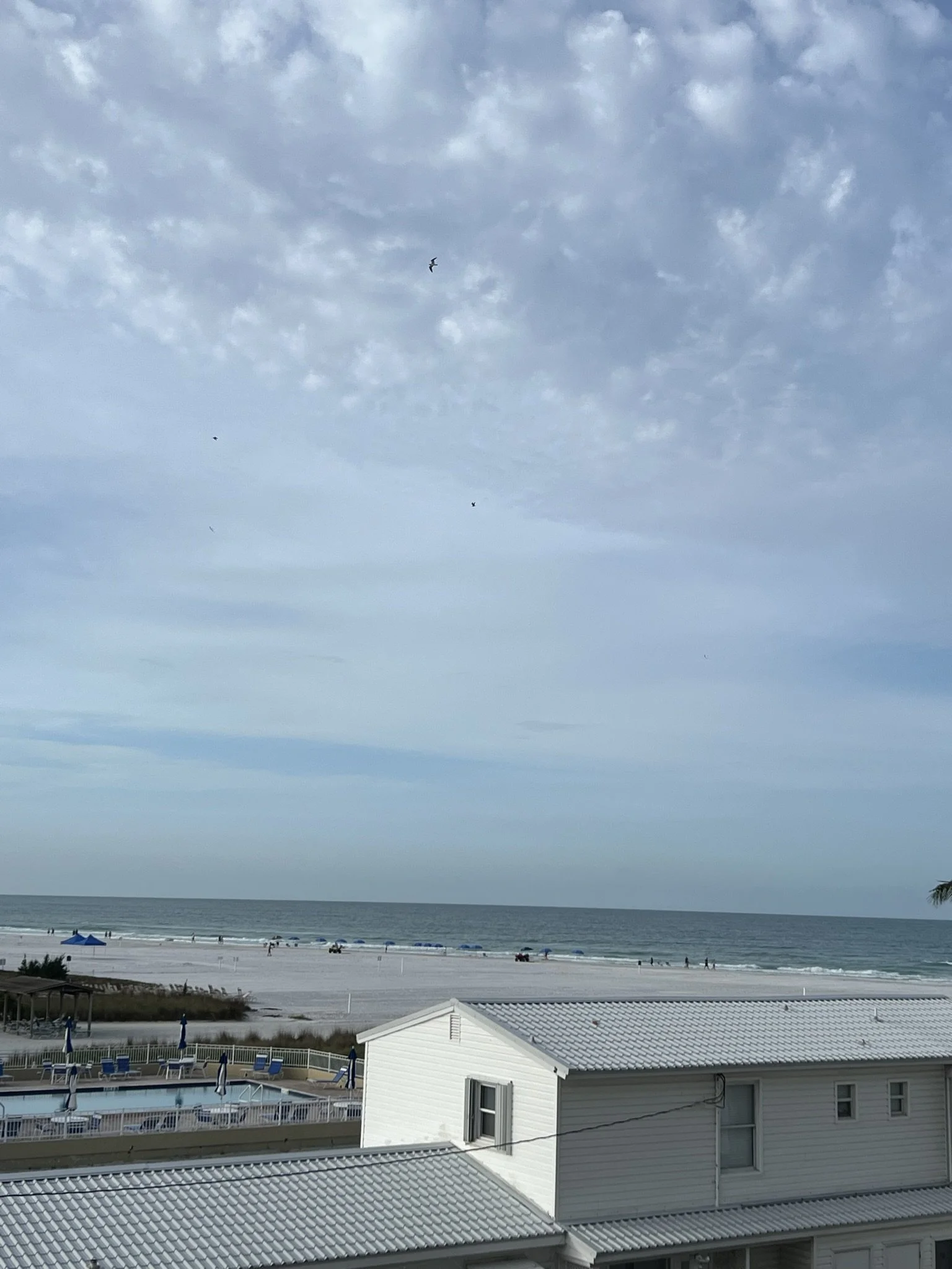 IMG_2740.JPEG