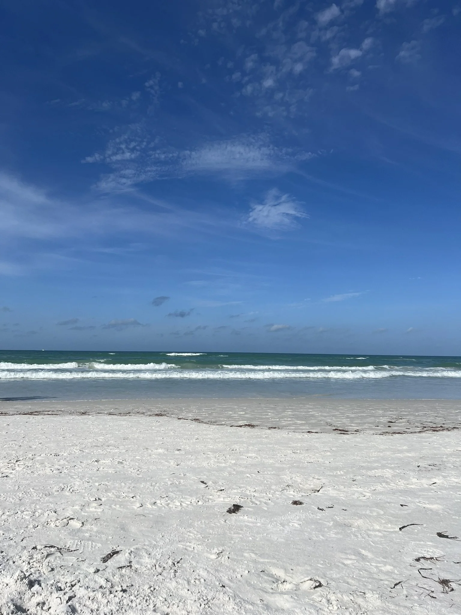 IMG_2782.JPEG