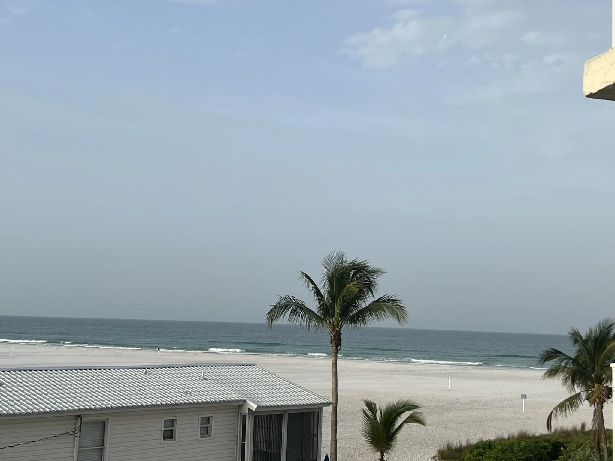 IMG_2717.JPEG