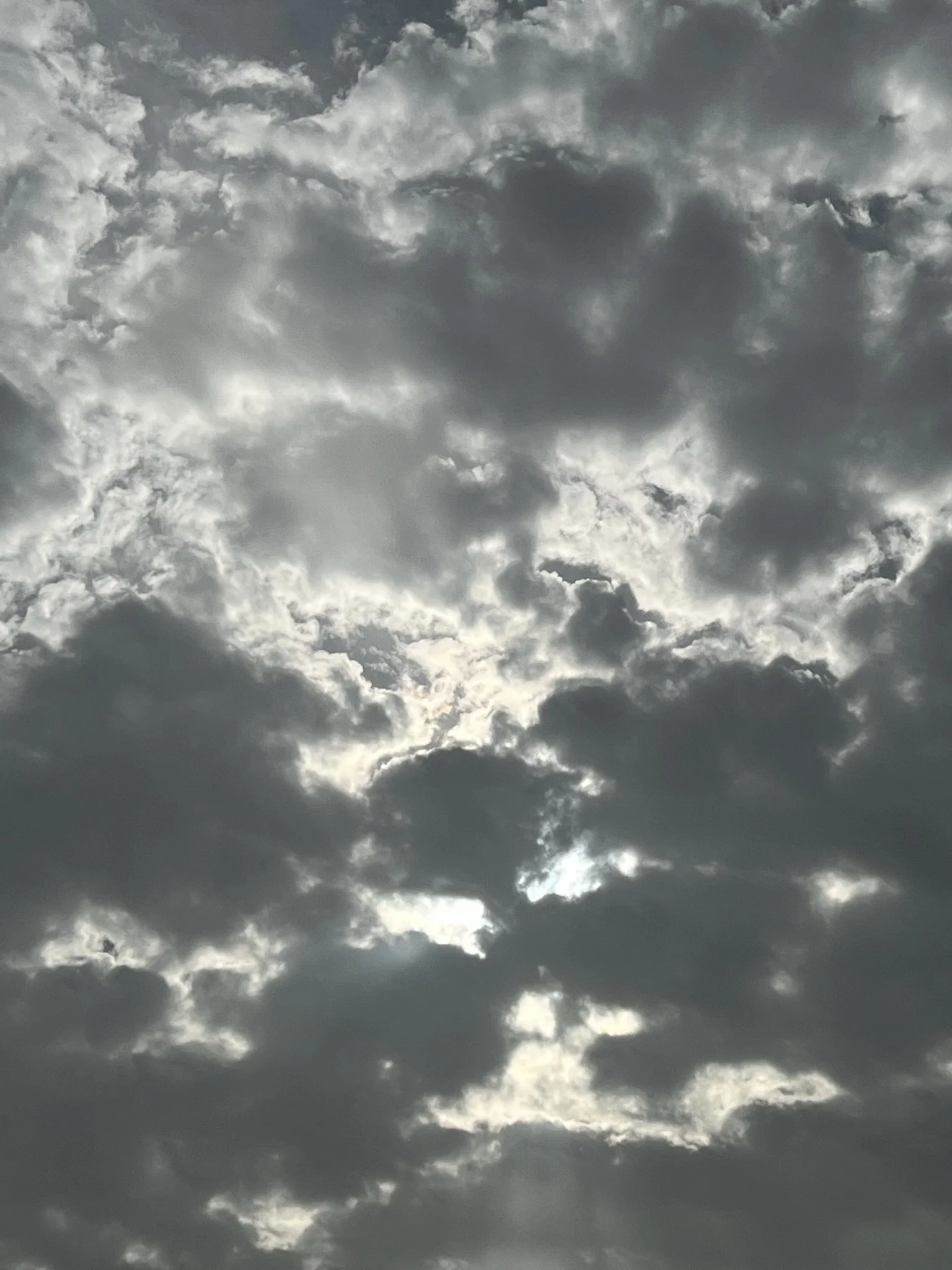IMG_2726.JPEG