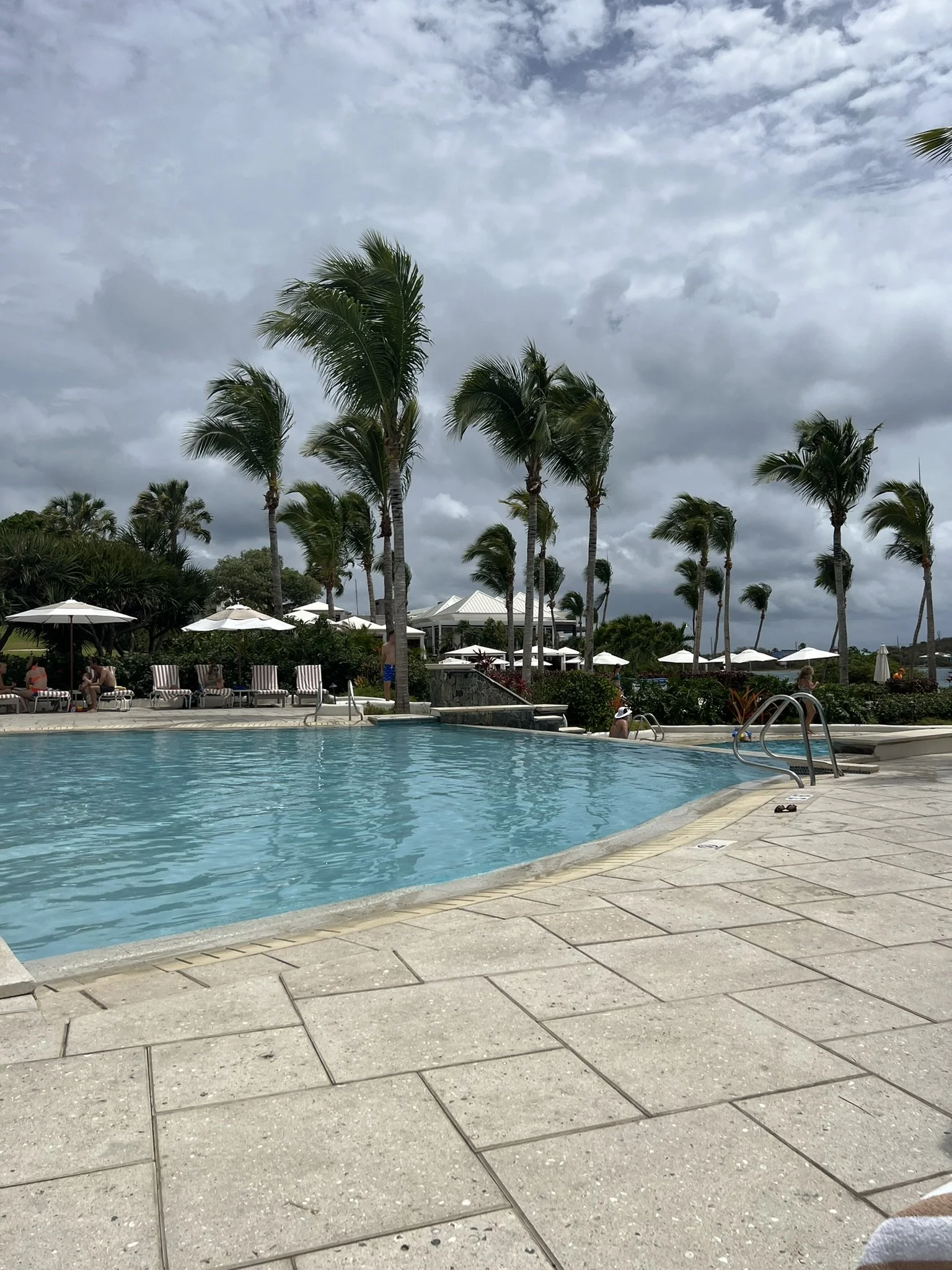 IMG_3777.JPEG