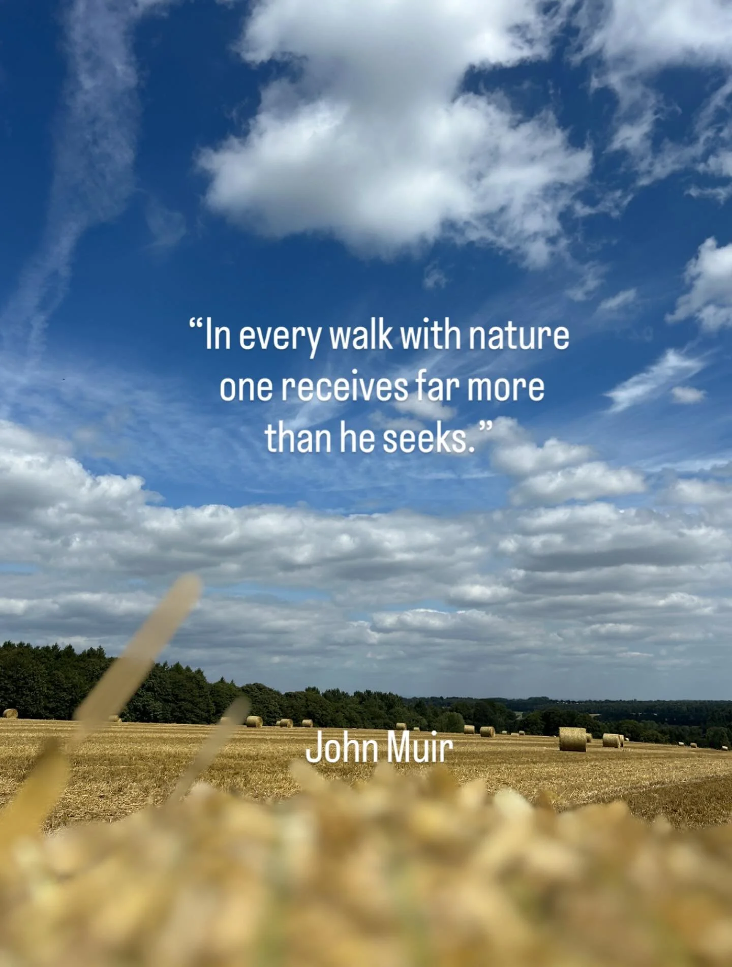 Motivational Monday 

&ldquo;In every walk with nature one receives far more than he seeks.&rdquo; John Muir

Geometry of harvest, rhythm of light, Country walks as summer is almost ending.
This is the quiet masterpiece between earth and sky.

#Natur