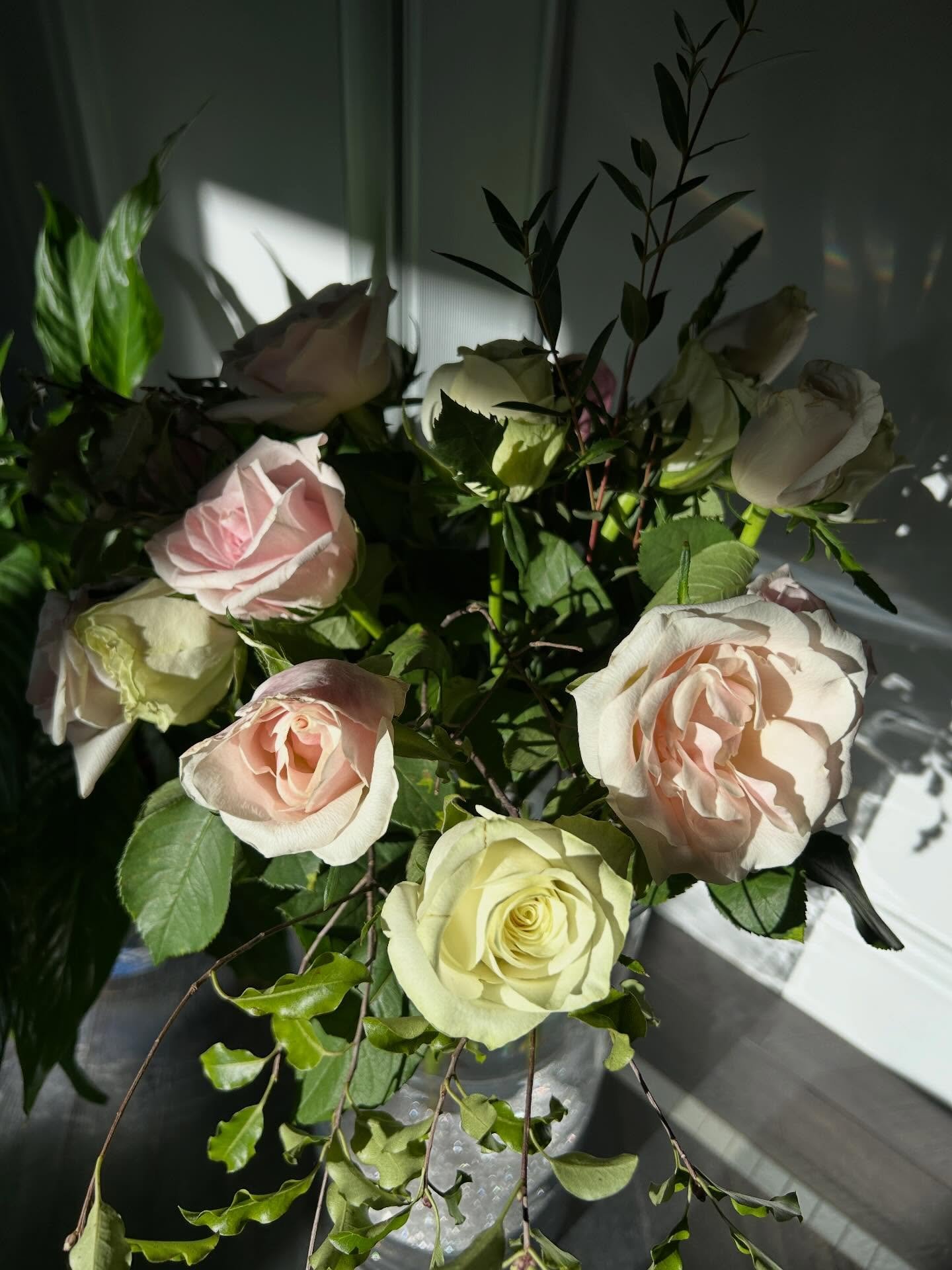 These roses glow when bathed in light
but when the sun shifts, their 
shadows tell an entirely different story.
Proof that beauty doesn&rsquo;t disappear when the light changes, it simply transforms into wonderful 
abstract inspiration. 

#GoldenHour
