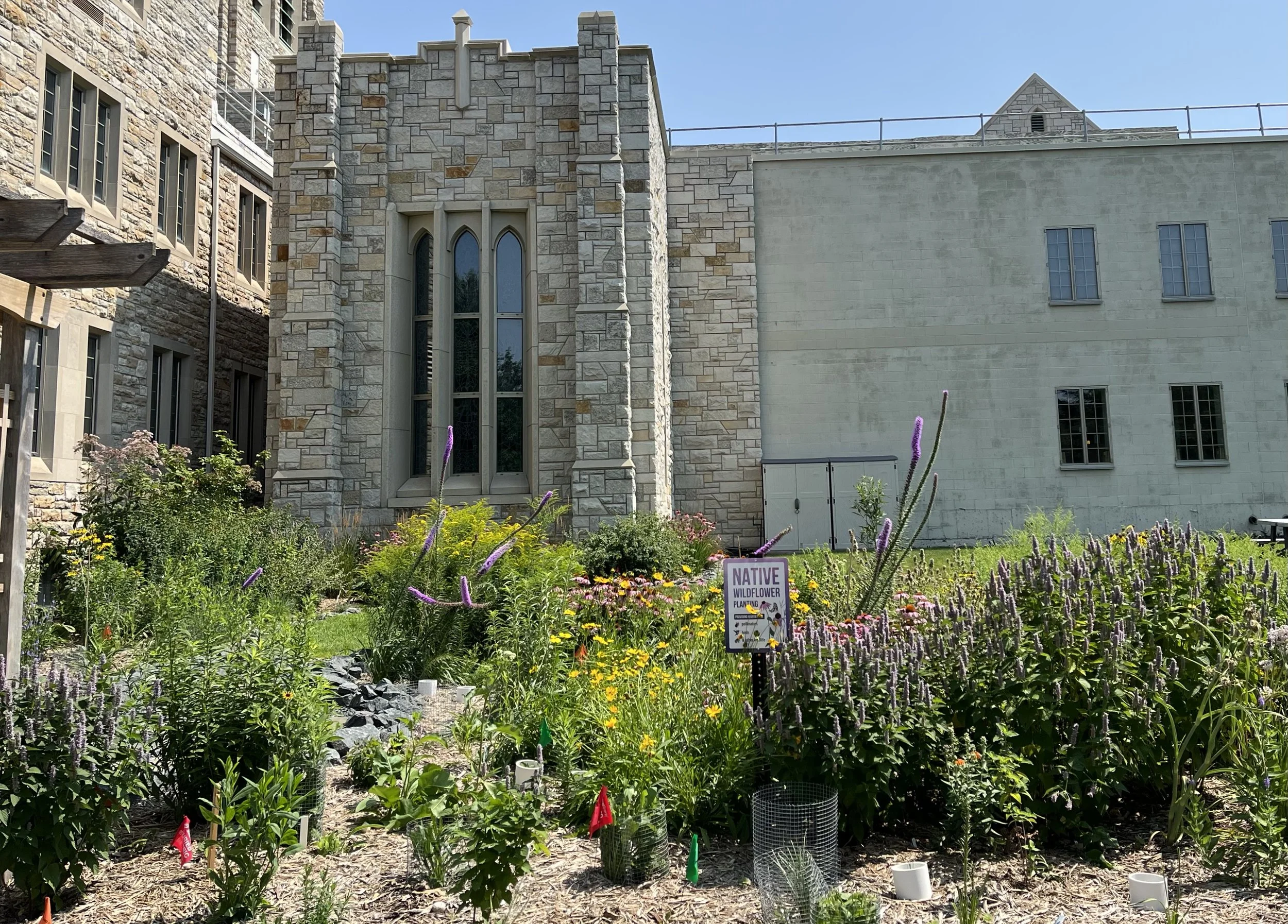 Creation care in full bloom