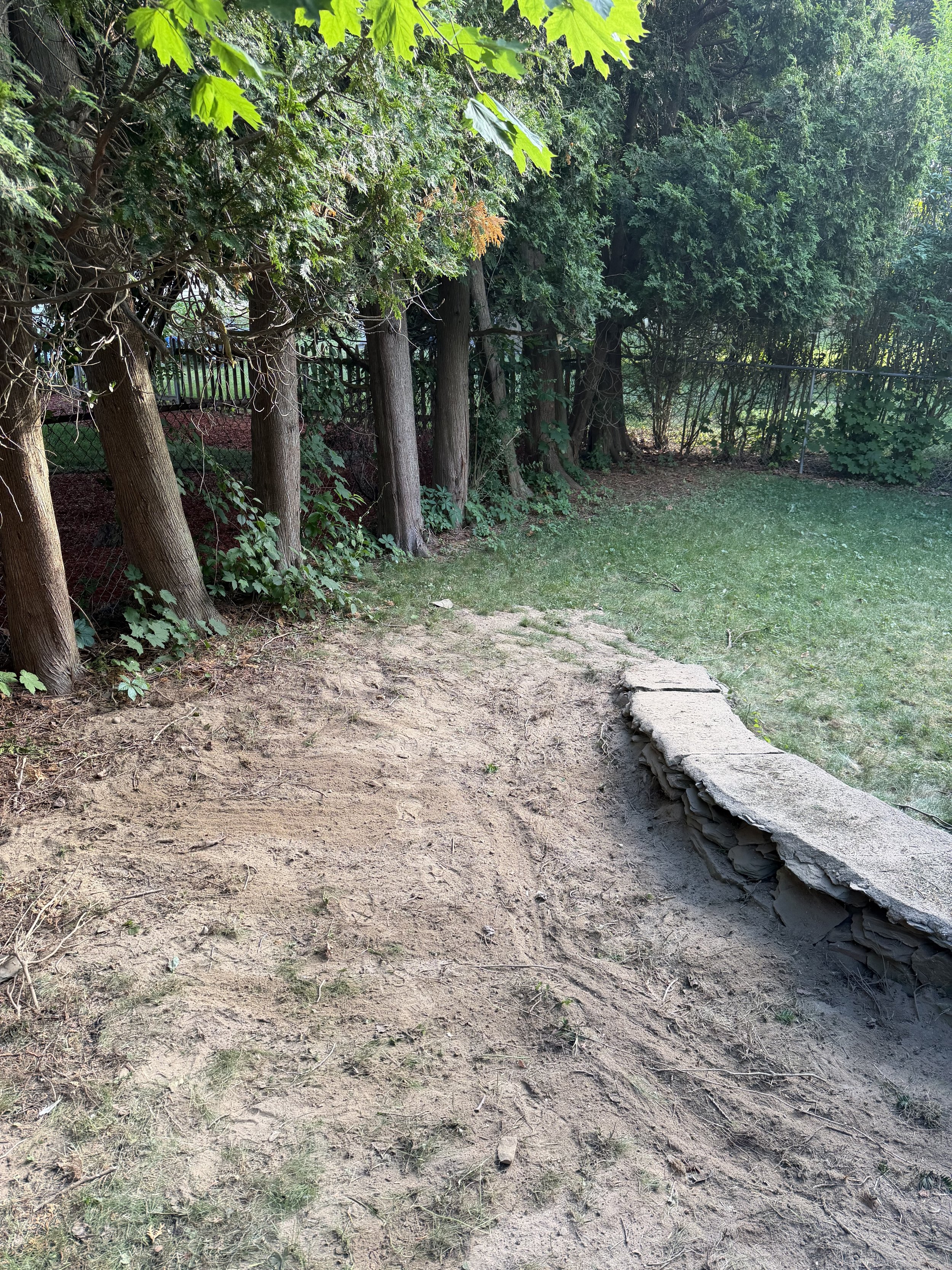 Tree bush Removal
