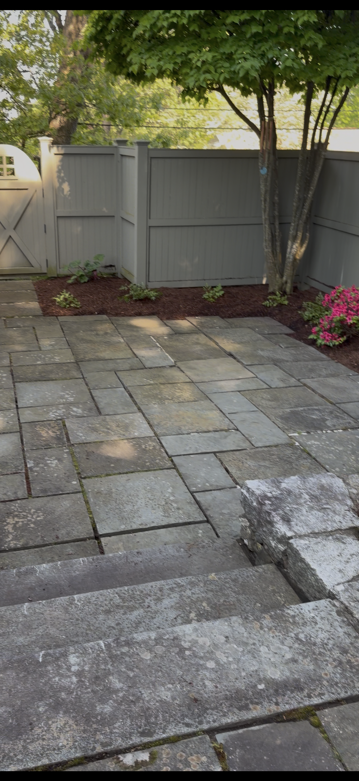 Mulch bed Refresh with edging in East Greenwich, RI
