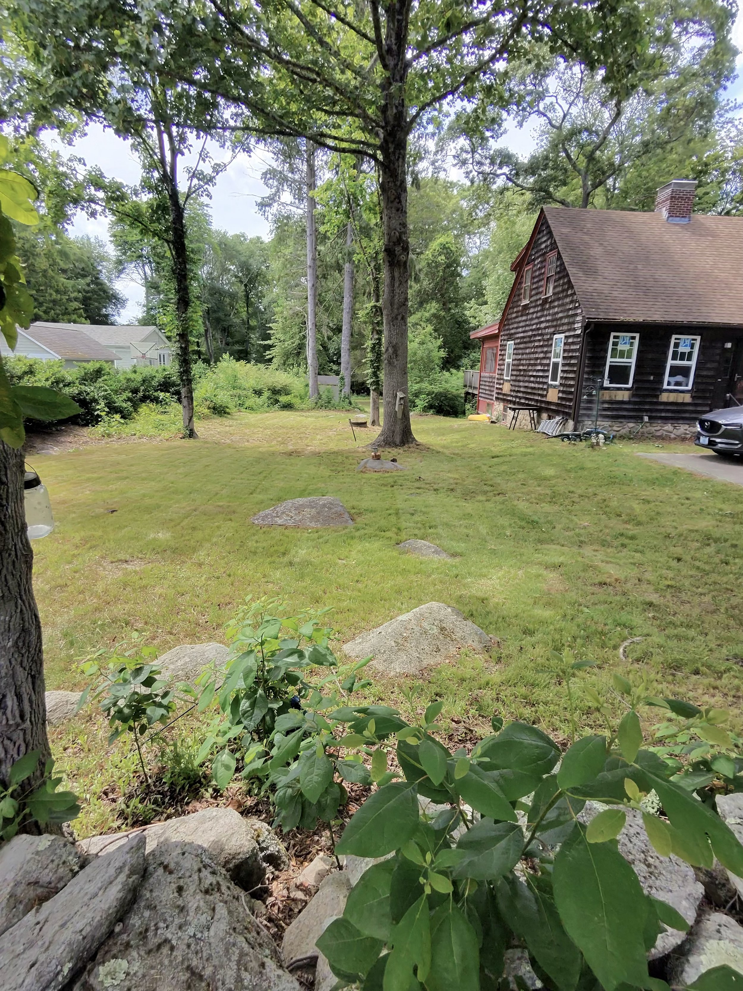 Weekly Lawn Maintenance