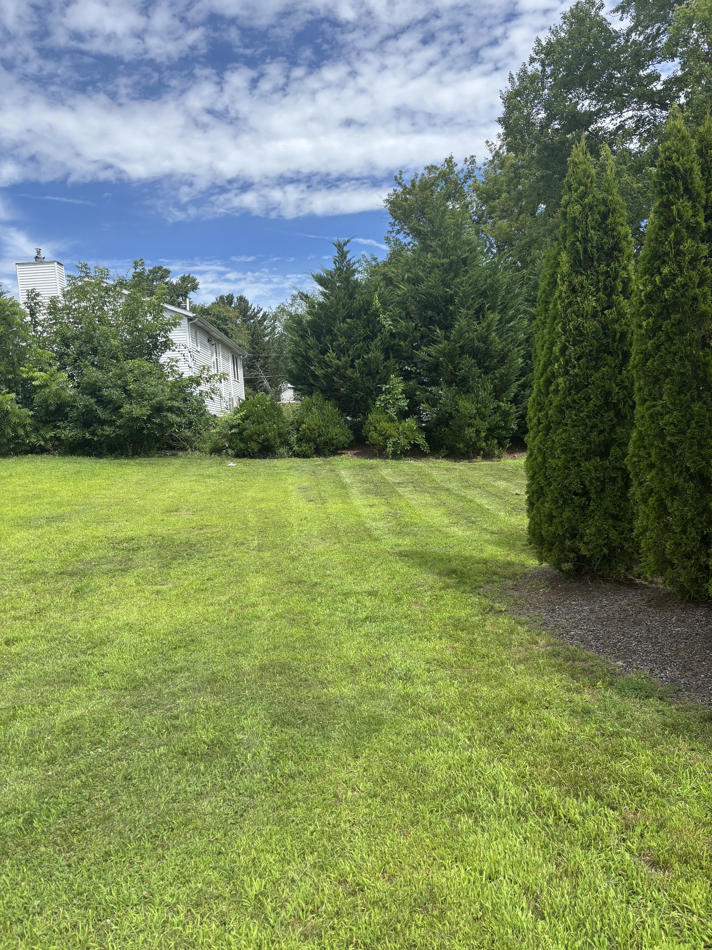 Commercial Weekly Lawn Maintenance