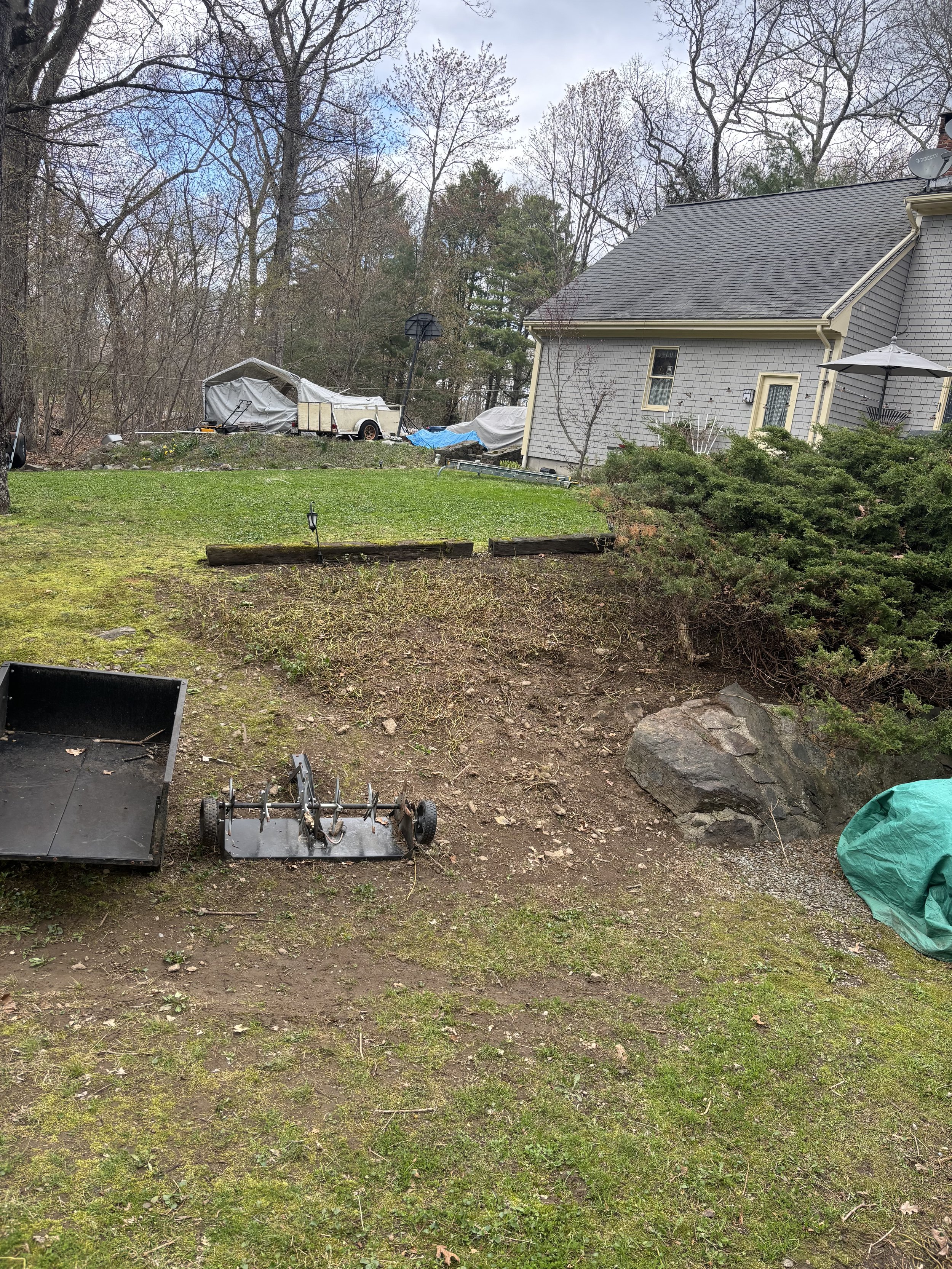 Bush Removal