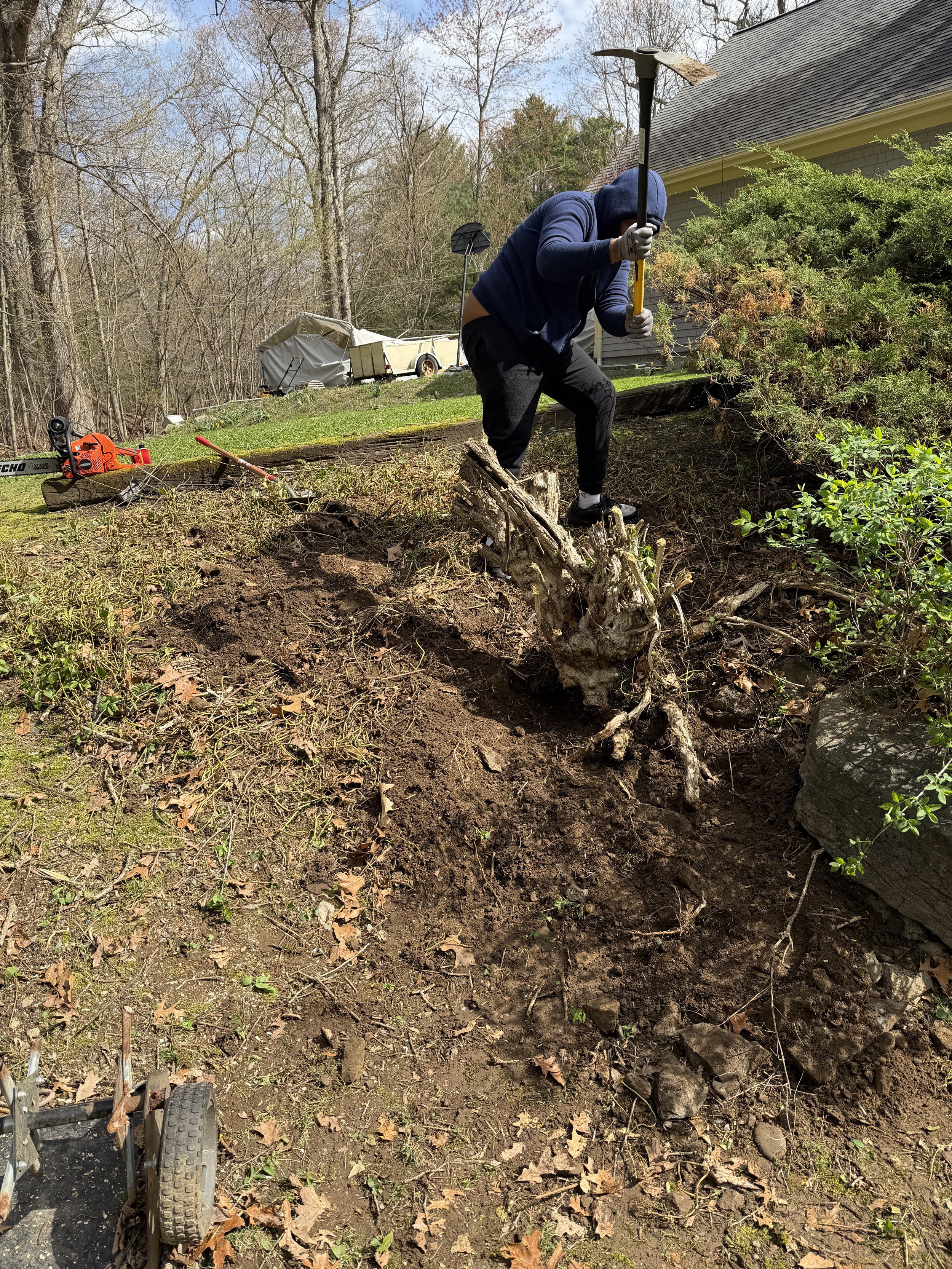 Bush Removal