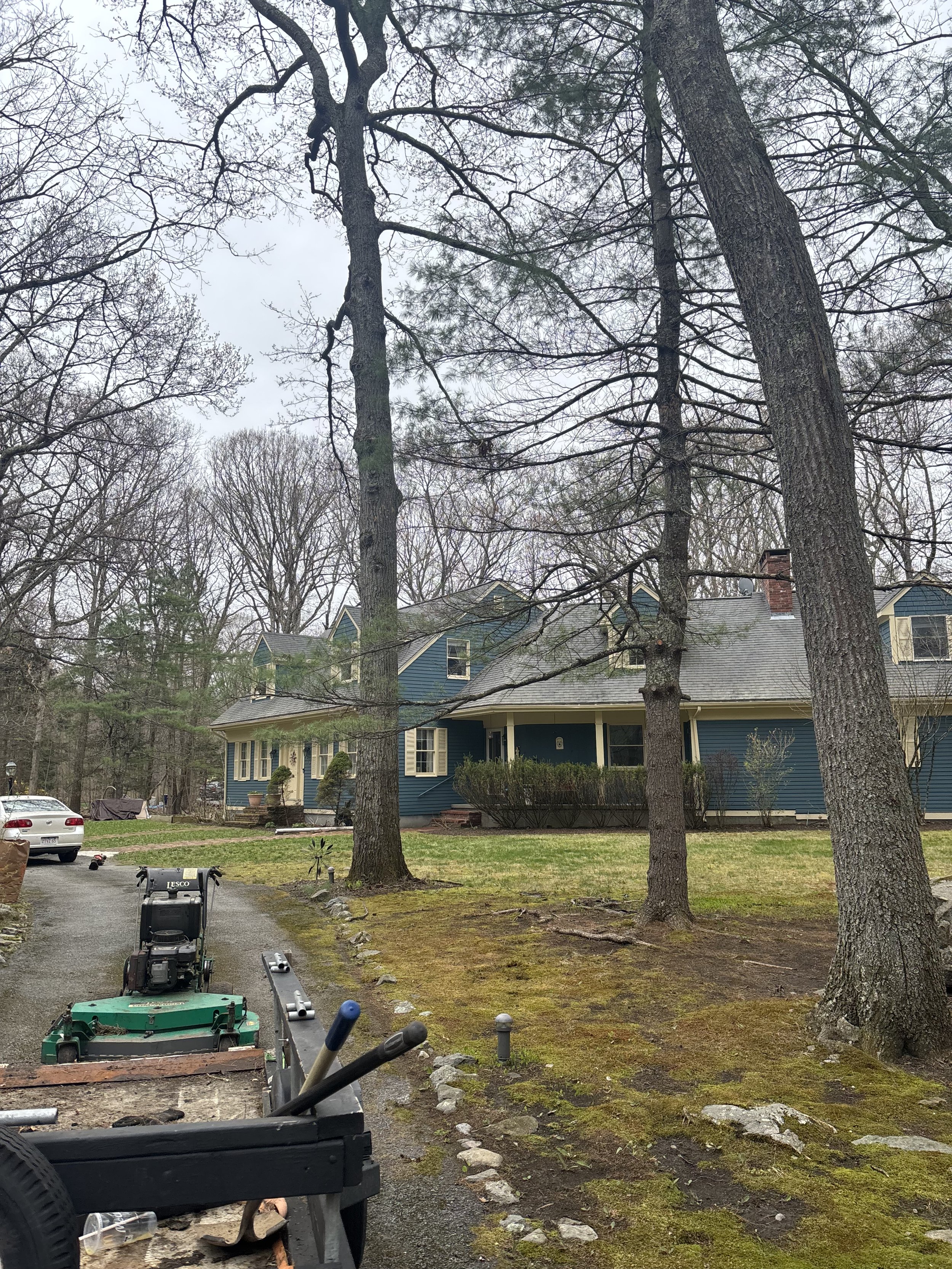 Spring Clean Up
