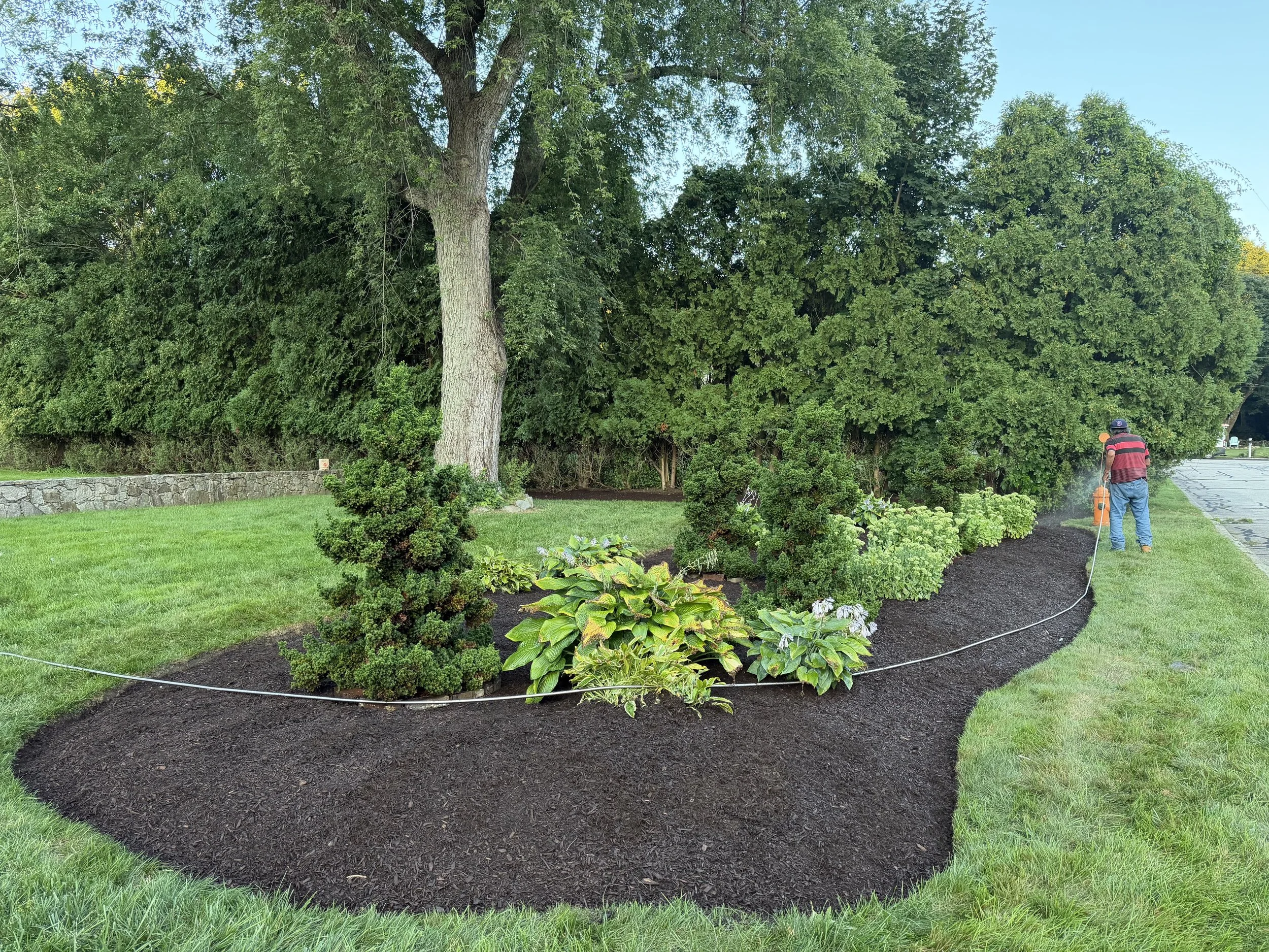 IMG_1779.jpeg
